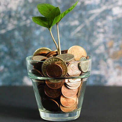 gaia coin