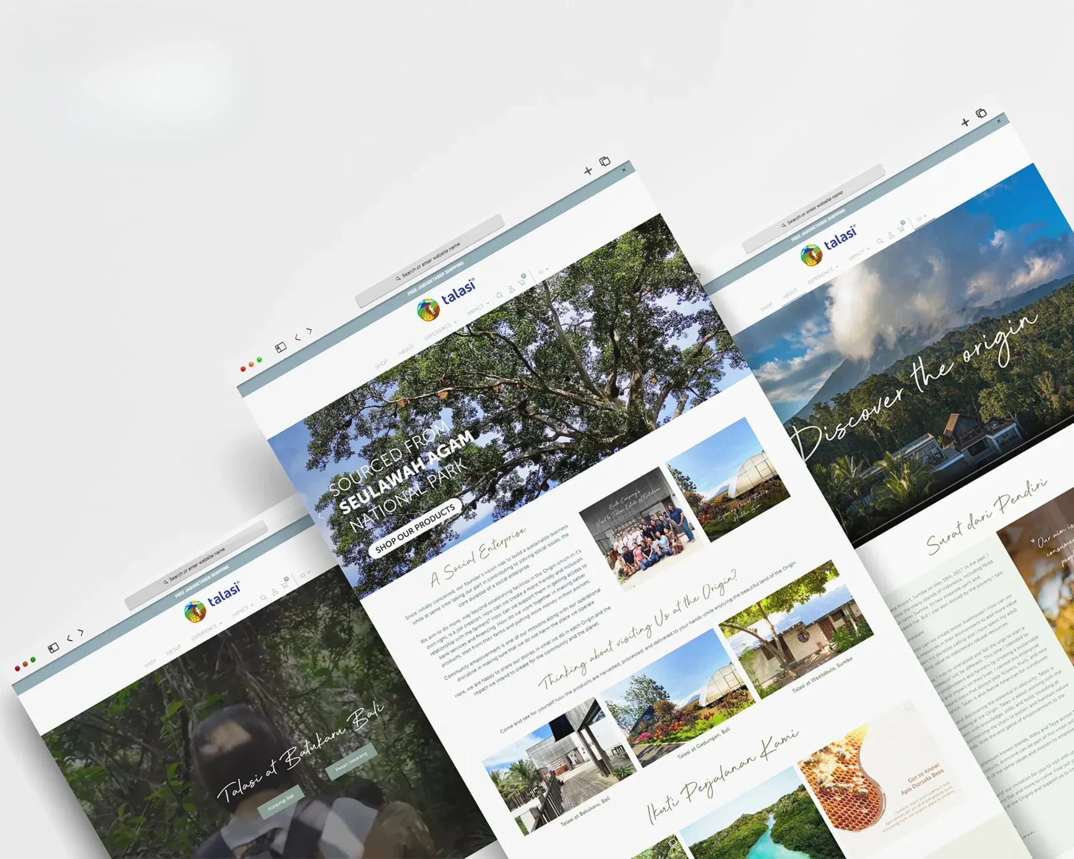 Gaia Portfolio Talasi