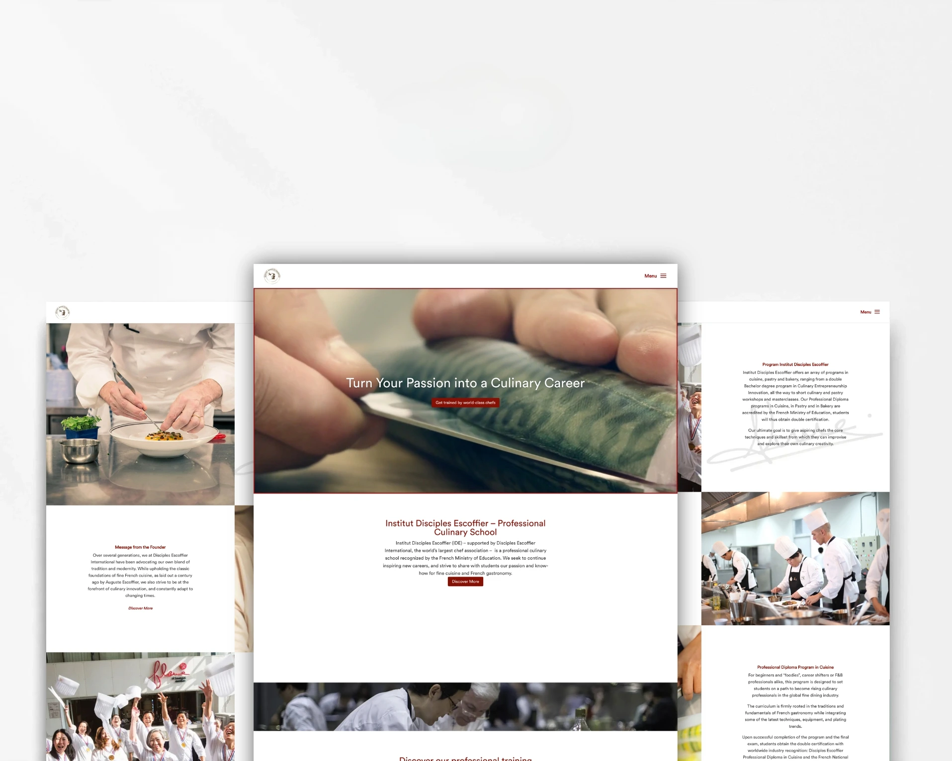 Gaia Portfolio IDE